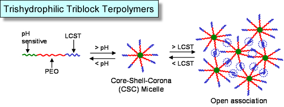 Trishydrophilic Triblock Terpolymers