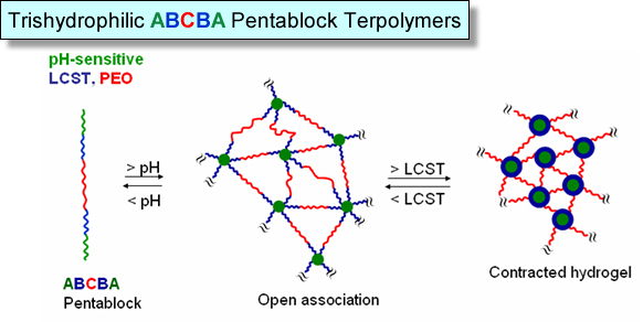 Trishydrophilic ABCBA Pentablock Terpolymers
