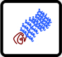 rod-coil-brush rod-coil-brush