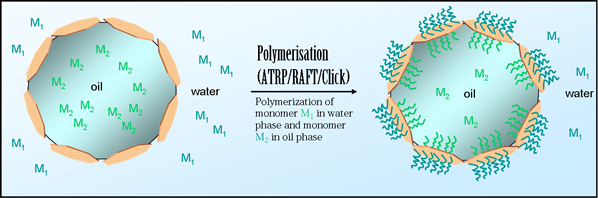 Polymerization of monomer M1 in water phase and monomer M2 in oil phase