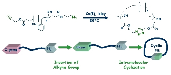 RAFT polymerization technique in combination with click chemistry to obtain ring shaped polymers RAFT polymerization technique in combination with click chemistry to obtain ring shaped polymers