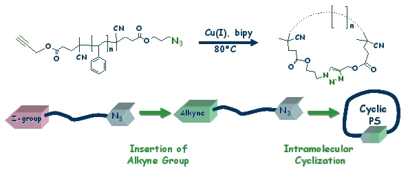 RAFT polymerization technique in combination with click chemistry to obtain ring shaped polymers