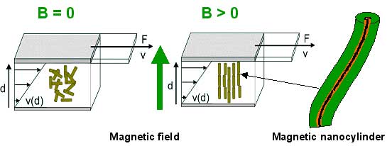 Xu, Youyong Fig.2 Bild Detailansicht