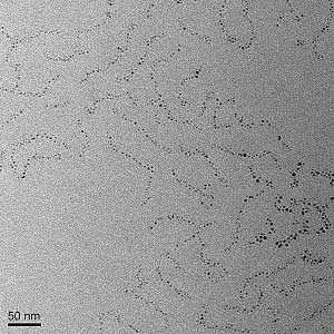 Xu, Youyong Fig.3 Bild Detailansicht